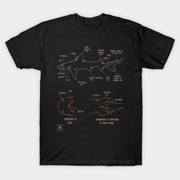 Shark Anatomy | Oceanography Science Fish T-Shirt by encycloart